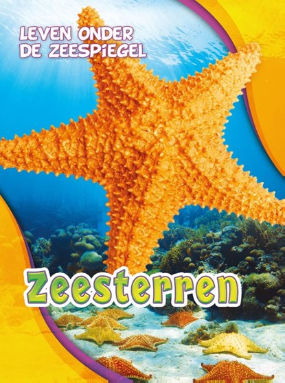 Zeesterren, Rebecca Pettiford - Gebonden - 9789463411127