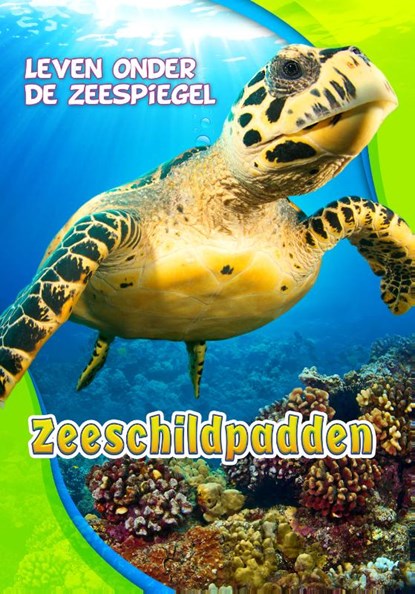 Zeeschildpadden, Kari Schuetz - Gebonden - 9789463411271