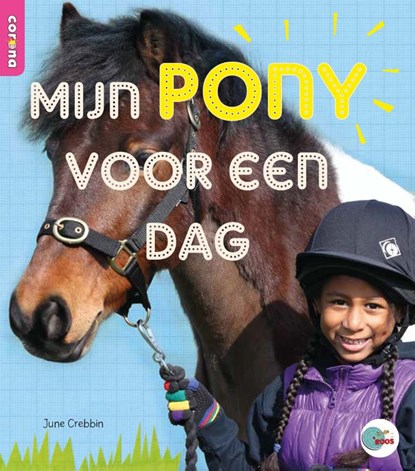 Mijn pony voor een dag, June Crebbin - Paperback - 9789463413312