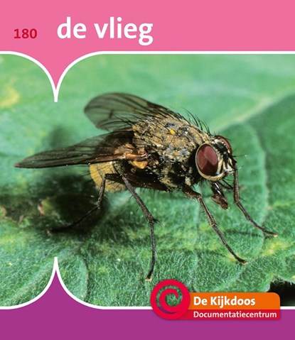 De vlieg, Minke van Dam - Gebonden - 9789463413626