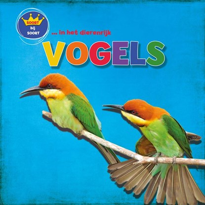 Vogels, Sarah Ridley - Gebonden - 9789463415033