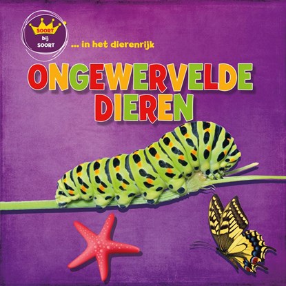 Ongewervelden, Sarah Ridley - Gebonden - 9789463415071