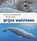 De reis van grijze walvissen, Sharon Katz Cooper - Gebonden - 9789463415217