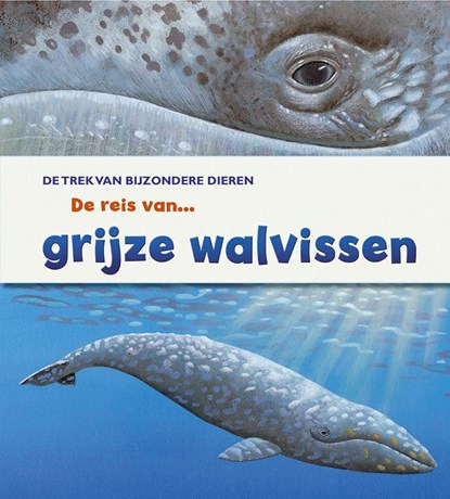 De reis van grijze walvissen, Sharon Katz Cooper - Gebonden - 9789463415217