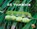 De tuinboon, Mary R. Dunn - Gebonden - 9789463415828