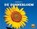 De zonnebloem, Mary R. Dunn - Gebonden - 9789463415835