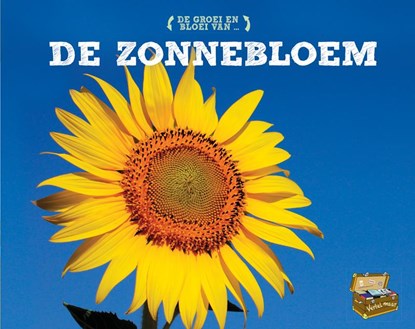 De zonnebloem, Mary R. Dunn - Gebonden - 9789463415835