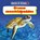 Groene zeeschildpadden, Nancy Dickmann - Gebonden - 9789463416207