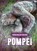 Pompeï, Emily Rose Oath - Gebonden - 9789463416641