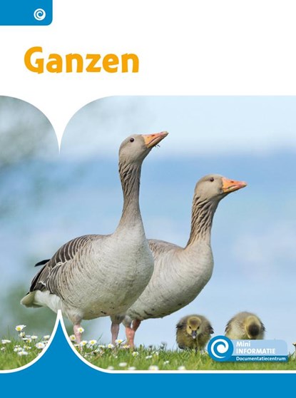 Ganzen, Bouwina de Ridder - Gebonden - 9789463418393