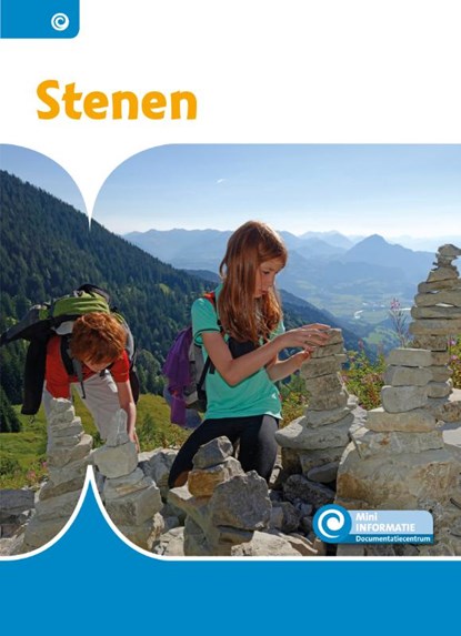 Stenen, Bouwina de Ridder - Gebonden - 9789463419239
