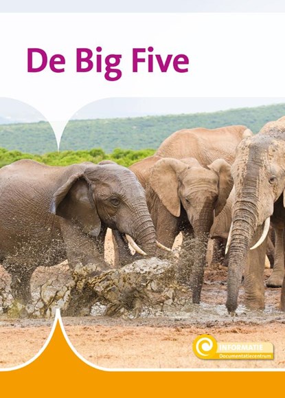 De Big Five, William van den Akker - Gebonden - 9789463419925