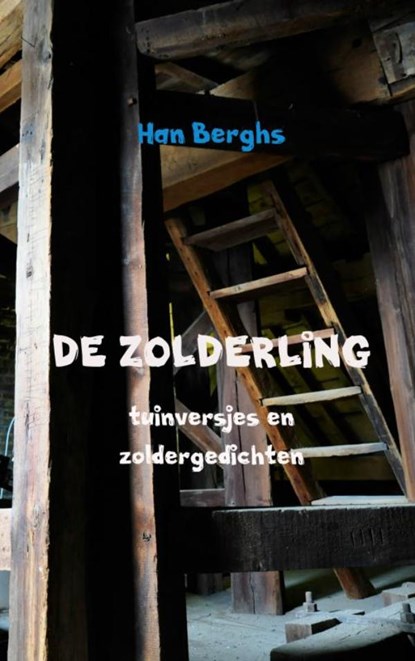 De zolderling, Han Berghs - Paperback - 9789463420242