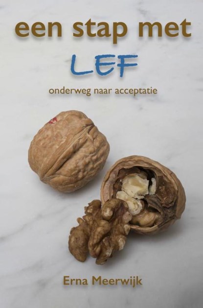 Een stap met lef, Erna Meerwijk - Paperback - 9789463421119