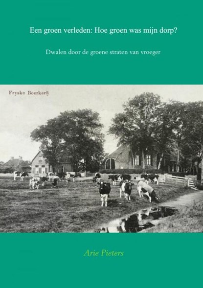 Een groen verleden: Hoe groen was mijn dorp?, Arie Pieters - Paperback - 9789463421201