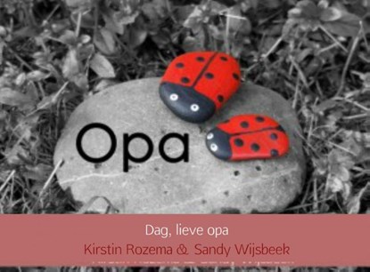 Dag, lieve opa, Kirstin Rozema & Sandy Wijsbeek - Paperback - 9789463422475