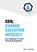 CEO; Change Executive Officer?, Erik F. Steketee - Paperback - 9789463422659