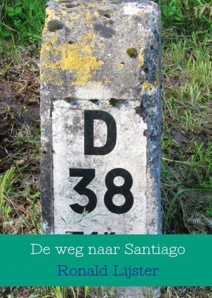 De weg naar Santiago, Ronald Lijster - Paperback - 9789463425049