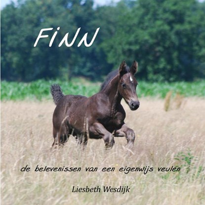Finn, Liesbeth Wesdijk - Paperback - 9789463425070