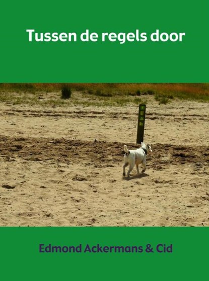 Tussen de regels door, Edmond Ackermans & Cid - Paperback - 9789463427500