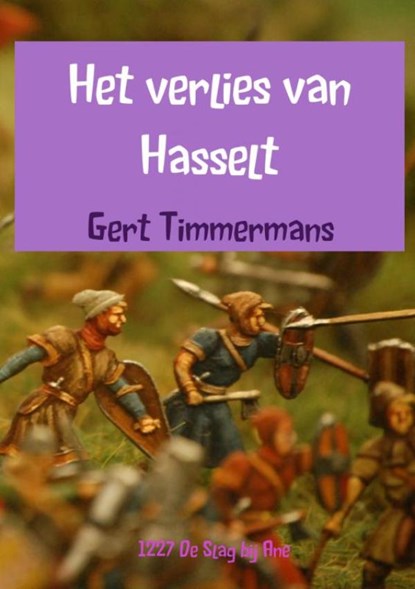 Het verlies van Hasselt, Gert Timmermans - Paperback - 9789463428507