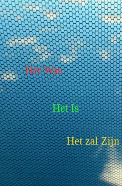 Het was, het is, het zal zijn, Joop Strous - Paperback - 9789463428767