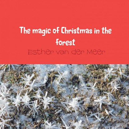 The magic of Christmas in the forest, Esther van der Meer - van der Meer - Paperback - 9789463429009