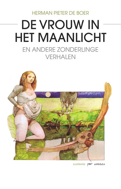 De vrouw in het maanlicht, Herman Pieter de Boer - Ebook - 9789463450324