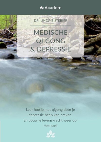 Medische QI Gong & Depressie, Linda Bijtebier - Paperback - 9789463456821
