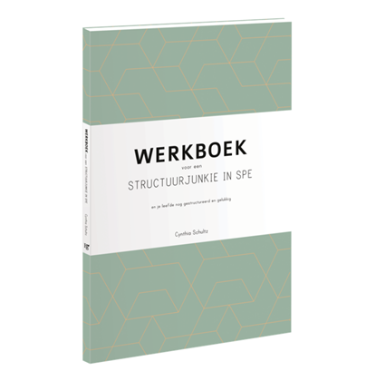 Werkboek voor een structuurjunkie in spe, Cynthia Schultz - Paperback - 9789463491037