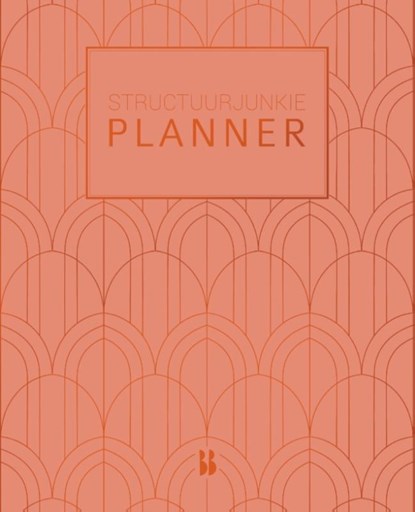 Structuurjunkie planner, Cynthia Schultz - Paperback - 9789463491488