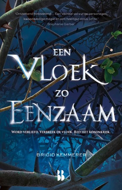 Een vloek zo eenzaam, Brigid Kemmerer - Gebonden - 9789463491730