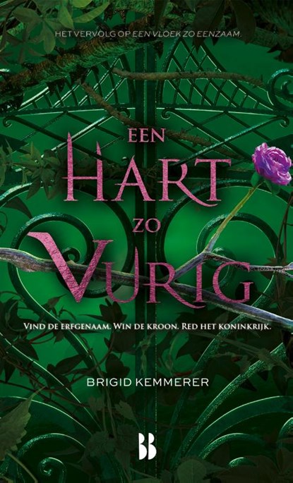 Een hart zo vurig, Brigid Kemmerer - Gebonden - 9789463492317