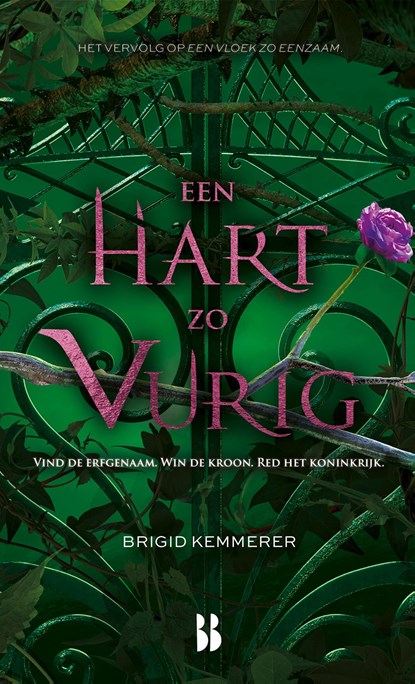 Een hart zo vurig, Brigid Kemmerer - Ebook - 9789463492324