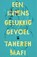 Een intens gelukkig gevoel, Tahereh Mafi - Paperback - 9789463492928