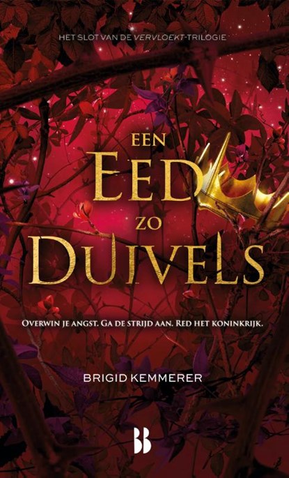 Een eed zo duivels, Brigid Kemmerer - Gebonden - 9789463493055