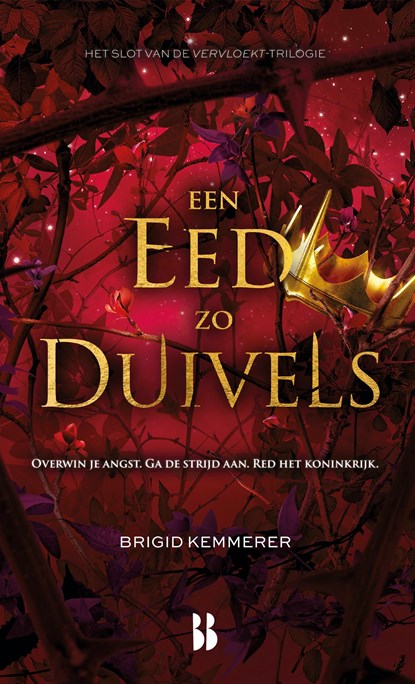 Een eed zo duivels, Brigid Kemmerer - Ebook - 9789463493062