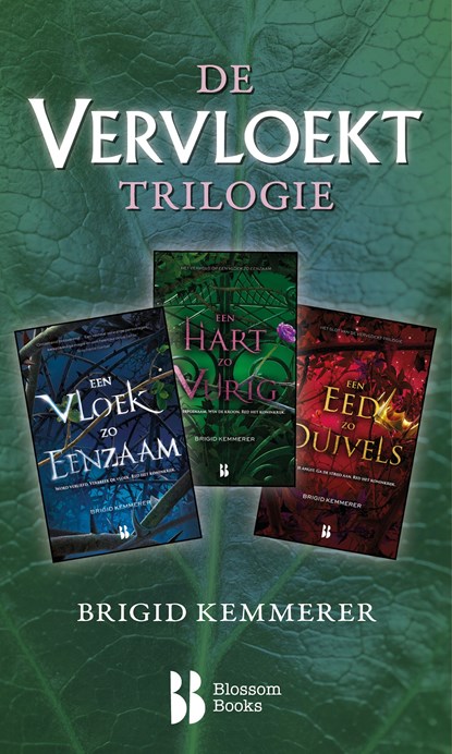 De Vervloekt-trilogie, Brigid Kemmerer - Ebook - 9789463493956