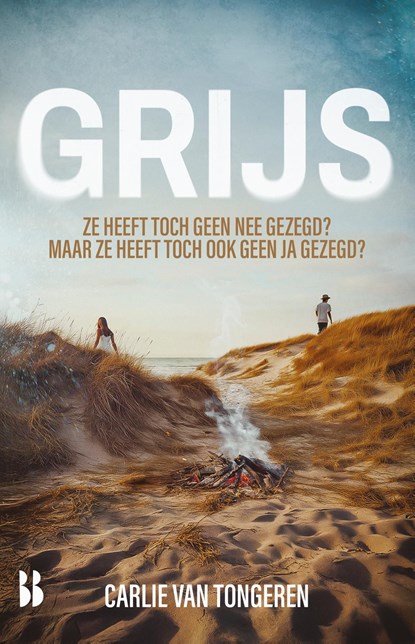 Grijs, Carlie van Tongeren - Ebook - 9789463494038