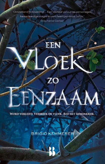 Een vloek zo eenzaam, Brigid Kemmerer - Paperback - 9789463494106