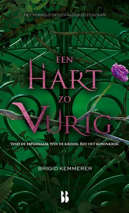 Een hart zo vurig, Brigid Kemmerer - Paperback - 9789463494113