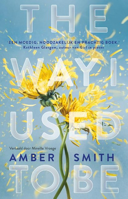 The way I used to be, Amber Smith - Paperback - 9789463496117