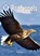 Roofvogels, Christina Braun ; Annemarie Bon - Gebonden - 9789463527231