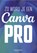 Zo word je een Canva-pro, Team VDM - Paperback - 9789463563659