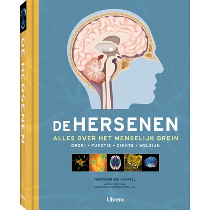 De Hersenen, Ashwell, Ken - Gebonden - 9789463593021