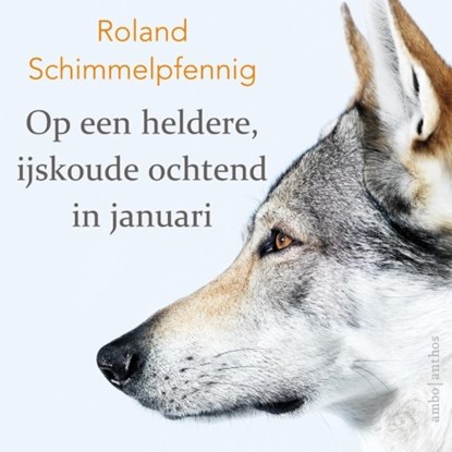 Op een heldere, ijskoude ochtend in januari, Roland Schimmelpfennig - Luisterboek MP3 - 9789463620147