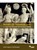 Vergilius CE Latijn 2025, Ch. Hupperts ; N. Koopman - Paperback - 9789463641005