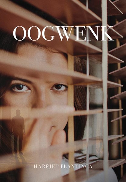 Oogwenk, Harriët Plantinga - Paperback - 9789463652513