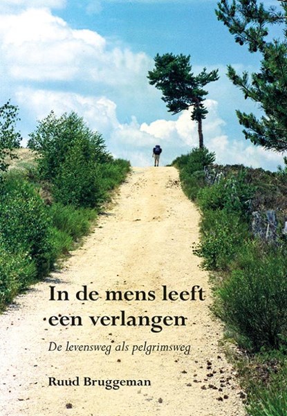 In de mens leeft een verlangen, Ruud Bruggeman - Paperback - 9789463652797