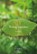 Weinig woorden, Jan de Haan - Paperback - 9789463653152